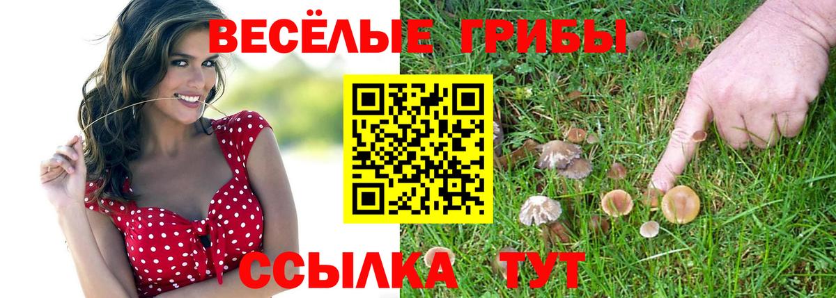 Галлюциногенные грибы Magic Shrooms Красногорск