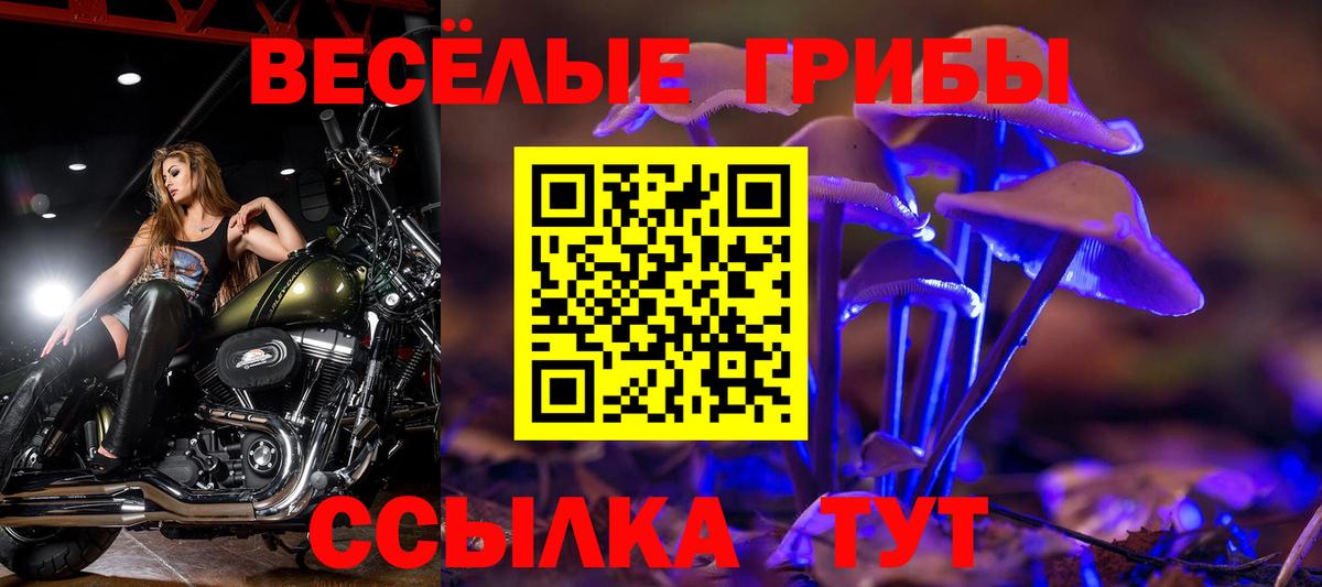 Красногорск  купить наркотики сайты  Псилоцибиновые грибы ЛСД  Вход с VPN  Галлюциногенные грибы Magic Shrooms 